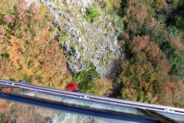 IMG_8807.JPG