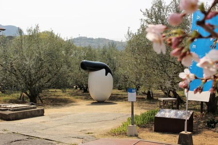IMG_8810.JPG