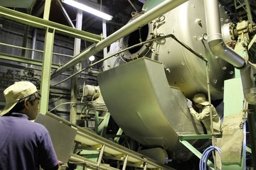 IMG_8979.JPG