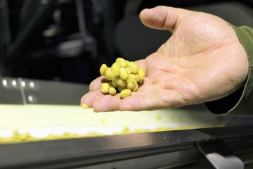 IMG_8981.JPG