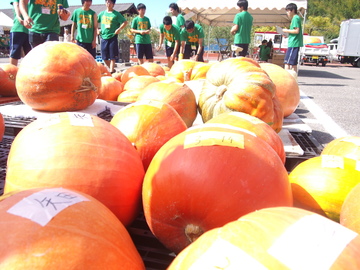 P1010003.JPG