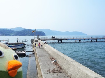 P1010007-3ebbd.jpg