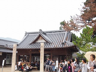 P1010018.jpg