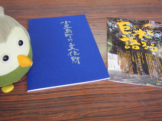 P1010030.JPG