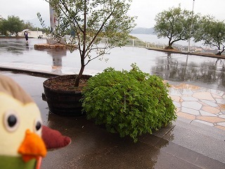 P1010059.jpg