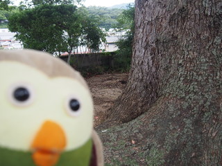 P1010063.JPG