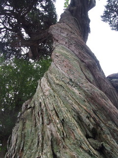 P1010066.JPG