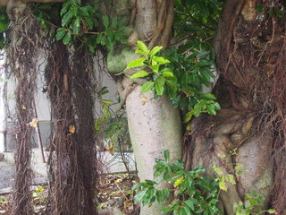 P1010074.JPG