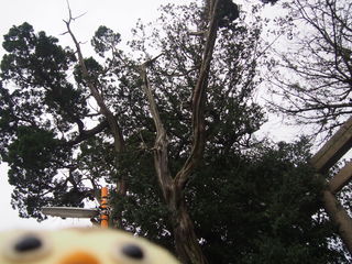P1010076.JPG