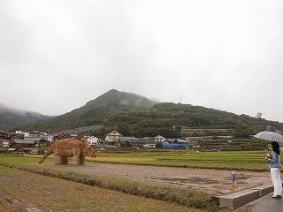 P1010139.jpg