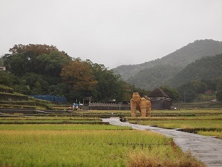 P1010141.jpg