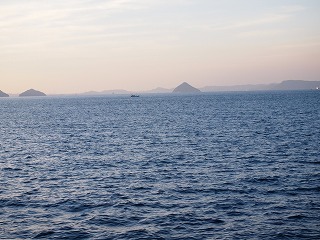 P1010393.jpg