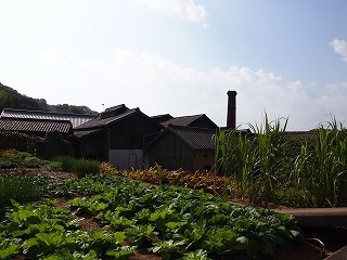 P1010561.jpg
