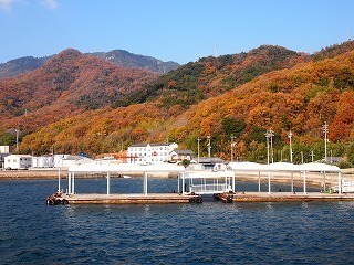 P1010997-6028f-thumbnail2.jpg
