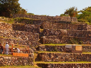 P1011004.jpg