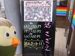 P1011652.jpg