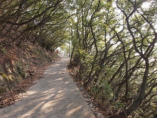 P1012110-thumbnail2.jpg