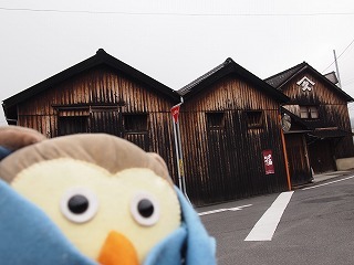 P1012777.jpg