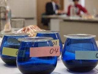 P1012788.jpg