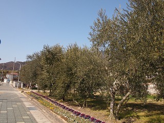 P1012877.jpg