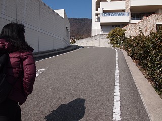 P1012882.jpg
