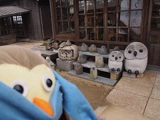 P1012929.jpg