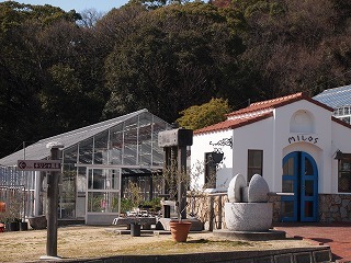 P1013148.jpg