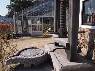 P1013150.jpg