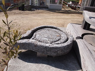 P1013151.jpg