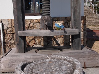 P1013152.jpg