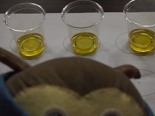 P1013203.jpg