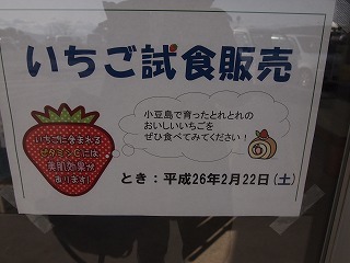 P1013215.jpg