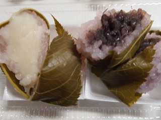 P1013602.jpg