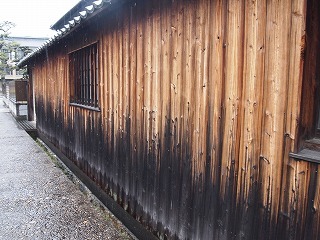 P1014380.jpg