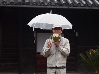 P1014384.jpg