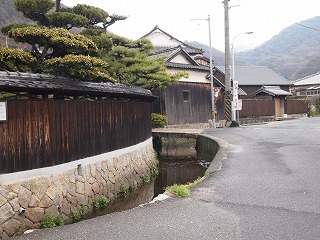 P1014434.jpg