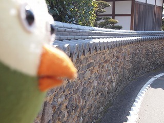 P1014599.jpg