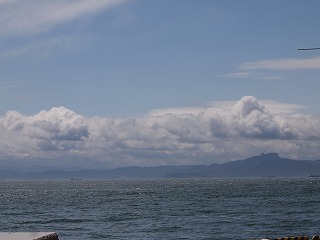 P1014733.jpg