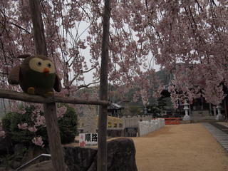 P1015259.JPG