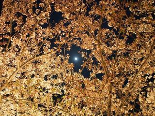 P4101003.jpg