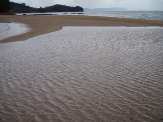 PA020225.jpg
