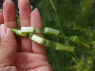 PA052718.jpg