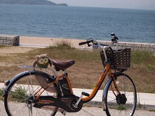 bike008_R.jpg