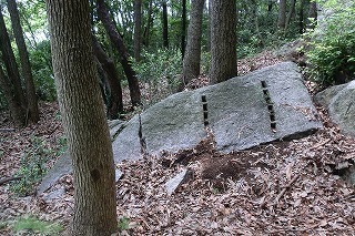 eastcort20037-thumbnail2-thumbnail2.jpg