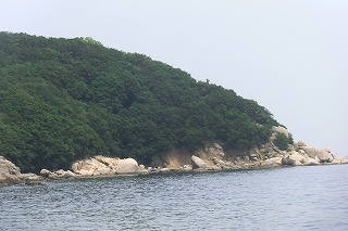 eastcort 100.jpg