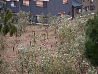 healthy land 001_R.JPG