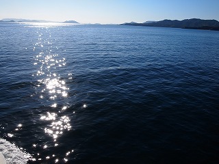 hiu 093.jpg