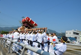 image003-thumbnail2.jpg