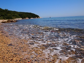 iwagatani 011.jpg