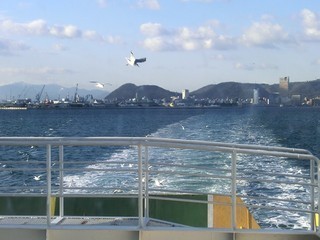 kamzno20005_R-thumbnail2.jpg